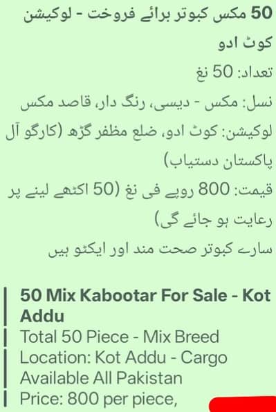 50 کبوتر فار سیل