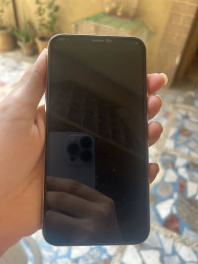 Apple iPhone X