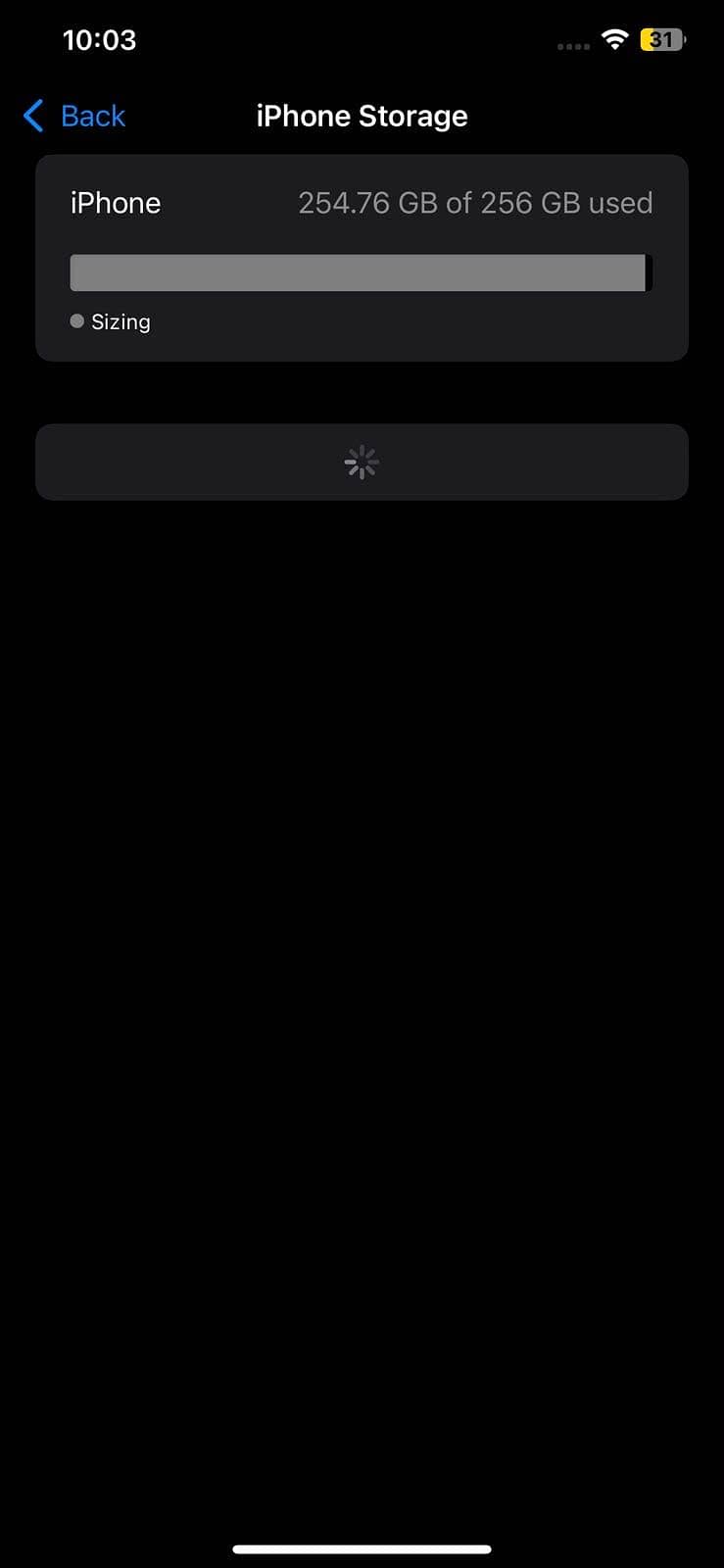 Apple iPhone 11 Pro Max 8