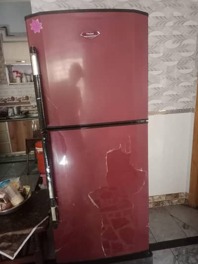 harier full side Refrigerator