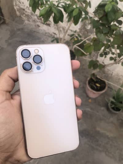 Apple iPhone 12 Pro Max