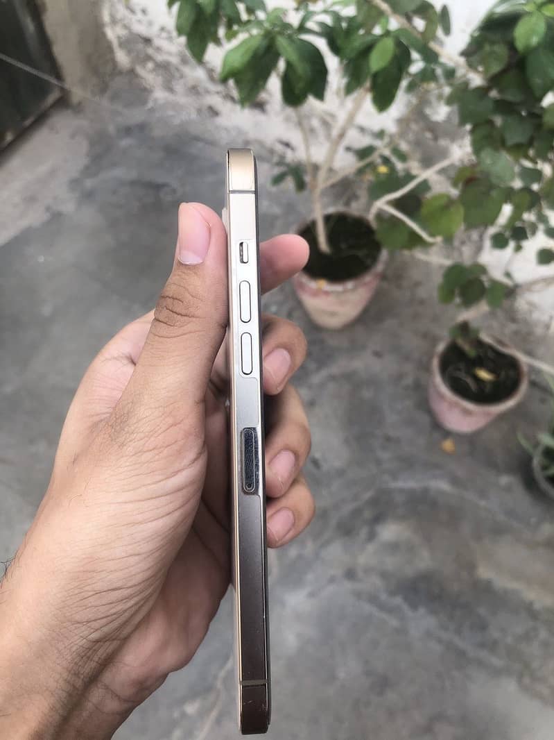 Apple iPhone 12 Pro Max 1