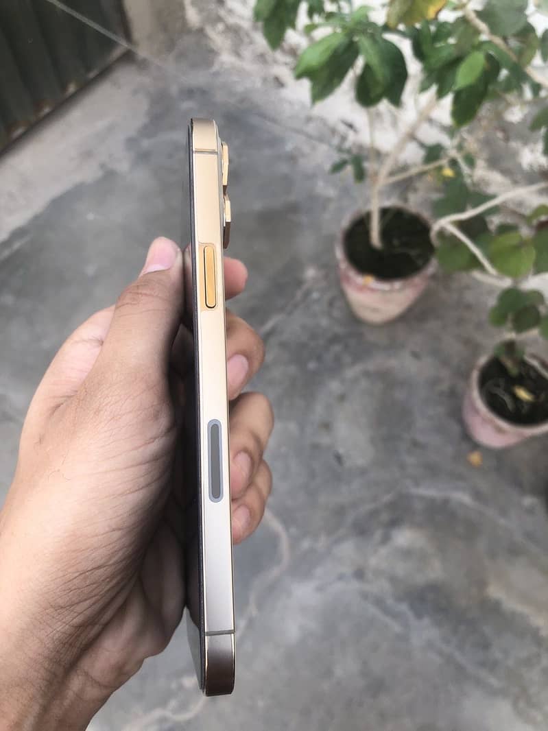 Apple iPhone 12 Pro Max 2