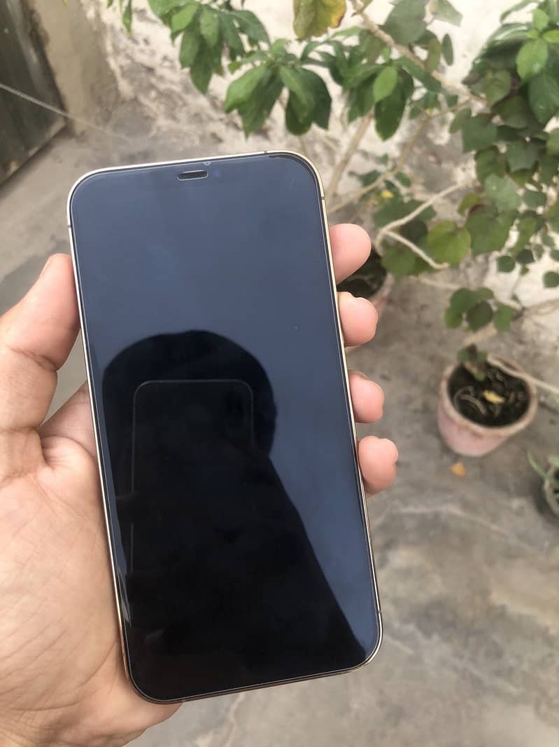 Apple iPhone 12 Pro Max 3