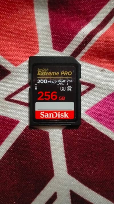sandisk 256 GB card