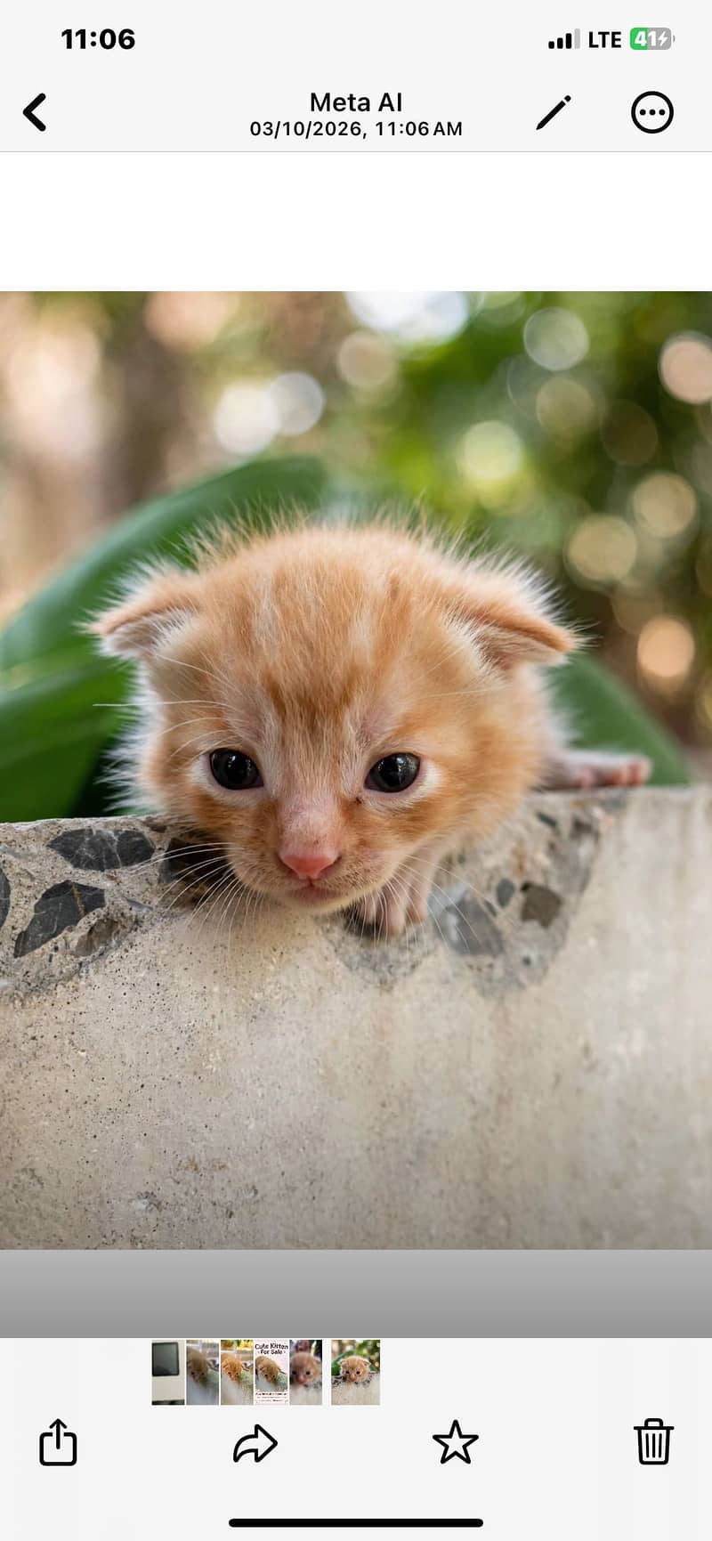 HOME BREED 0