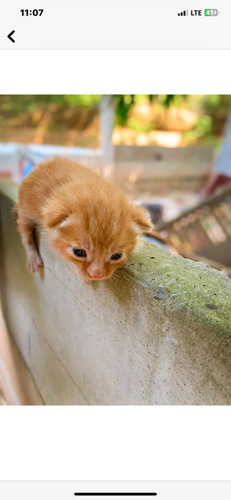 HOME BREED 2