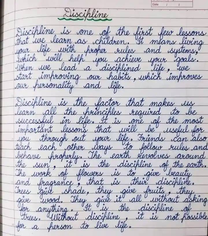 Neat & Clean Handwriting Work - Assignment / Notes / Project 2