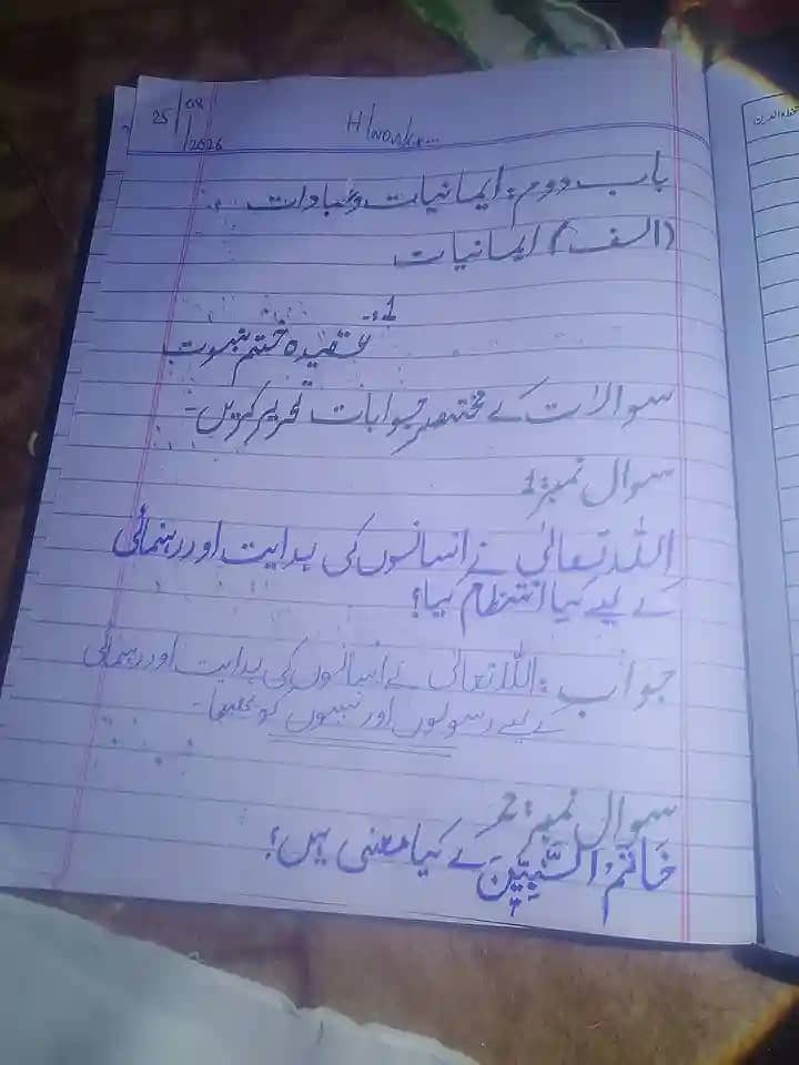 Neat & Clean Handwriting Work - Assignment / Notes / Project 5