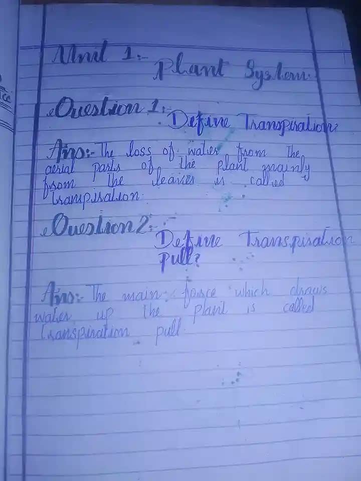 Neat & Clean Handwriting Work - Assignment / Notes / Project 6