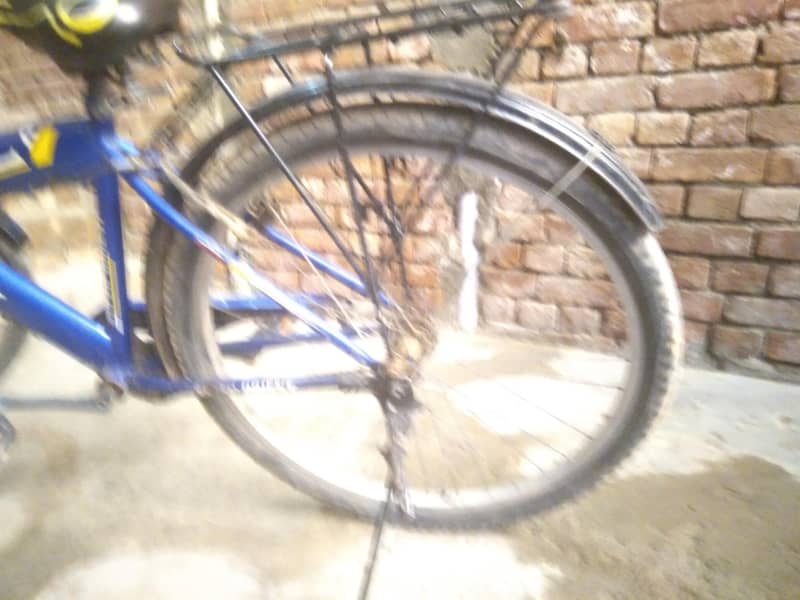Cycle in Good Condition 1