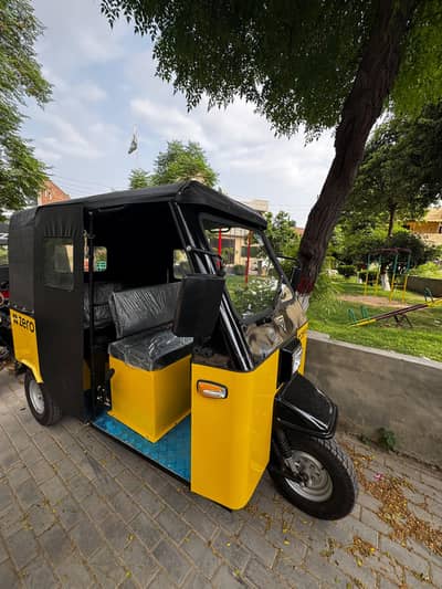 Electric Riksha Driver's