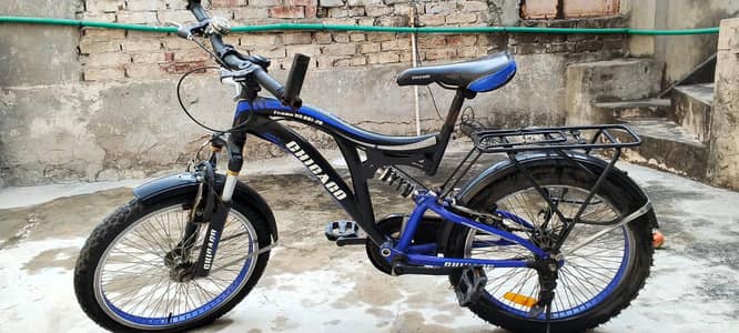 Chicago Sports bicycle