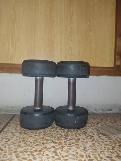 dumbbells Pair