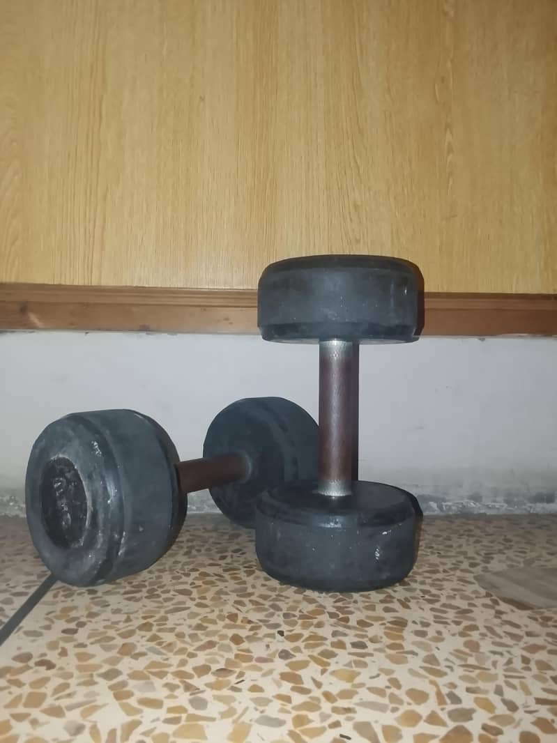 dumbbells Pair 1