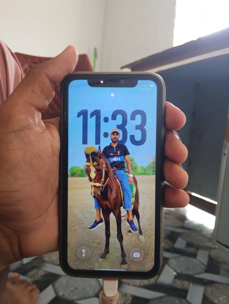 Apple iPhone 11 3