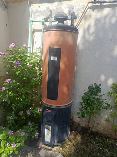 GFC full size geyser for sale