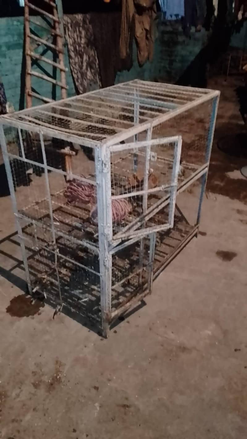 cage very Solid 0
