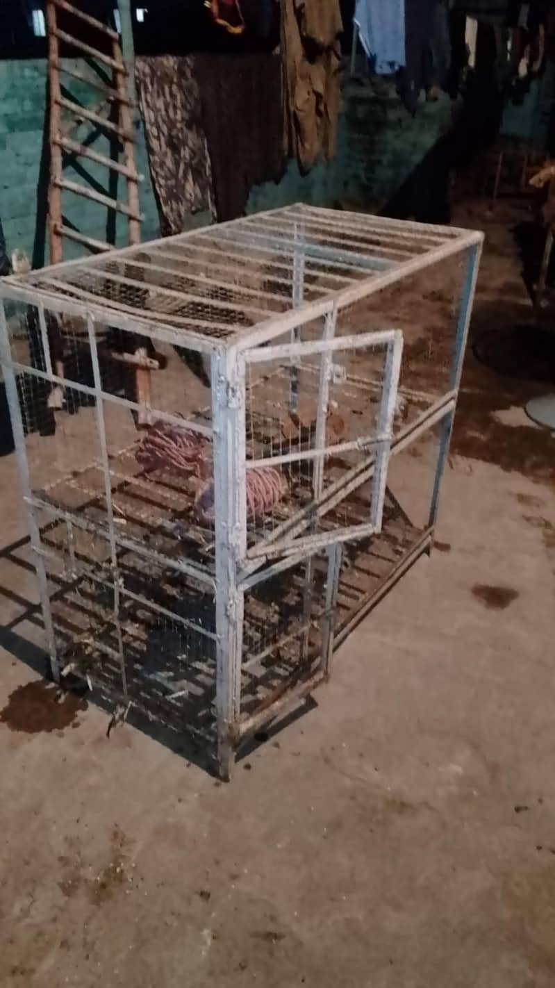 cage very Solid 1