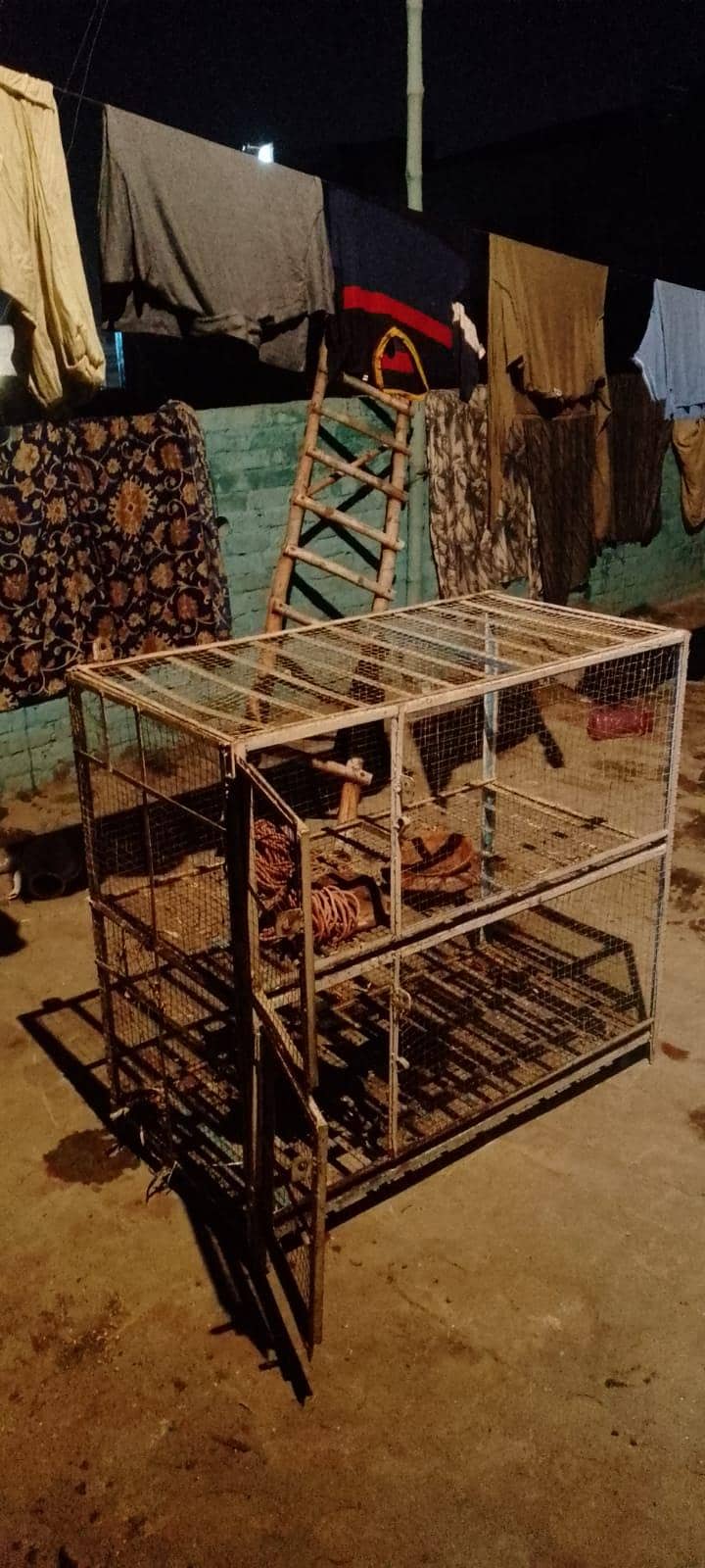 cage very Solid 2