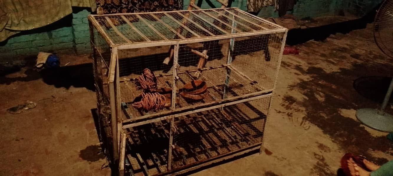 cage very Solid 3