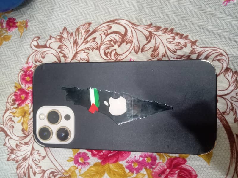 Apple iPhone 12 Pro Max 1