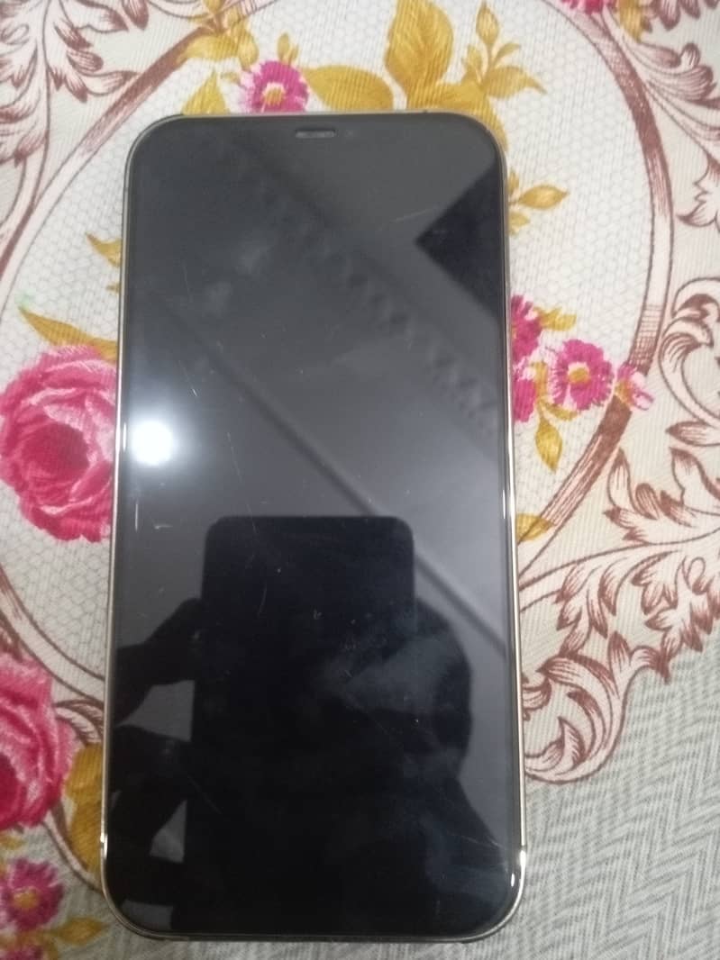 Apple iPhone 12 Pro Max 2