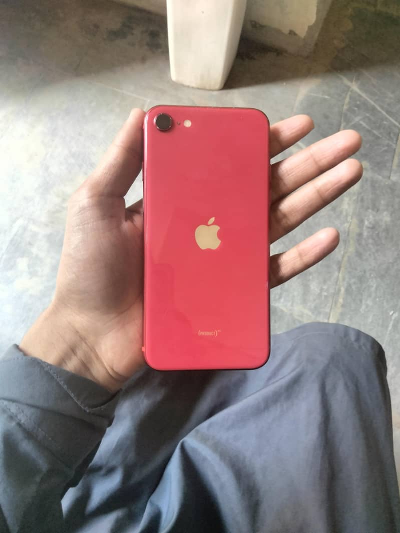 iPhone SE 2020 1