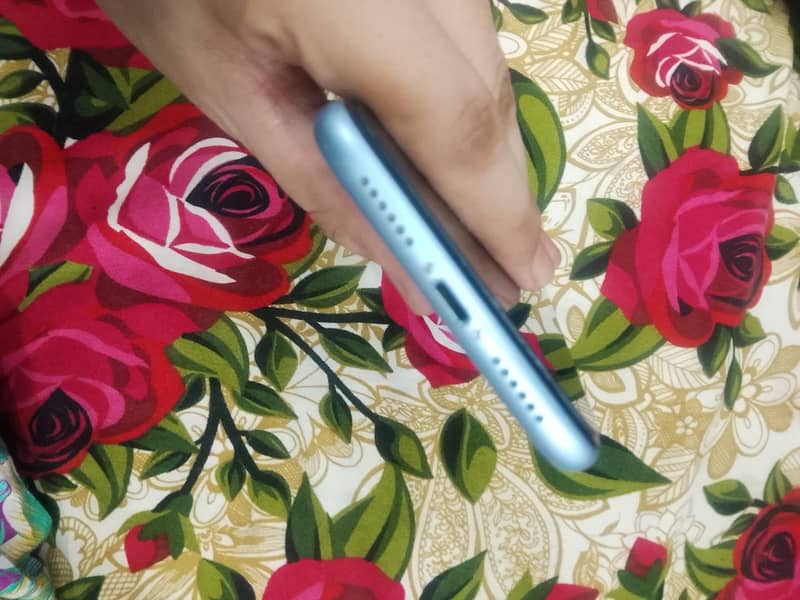Apple iPhone XR 7