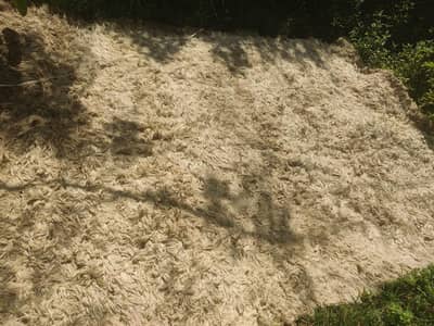 Rug for sale