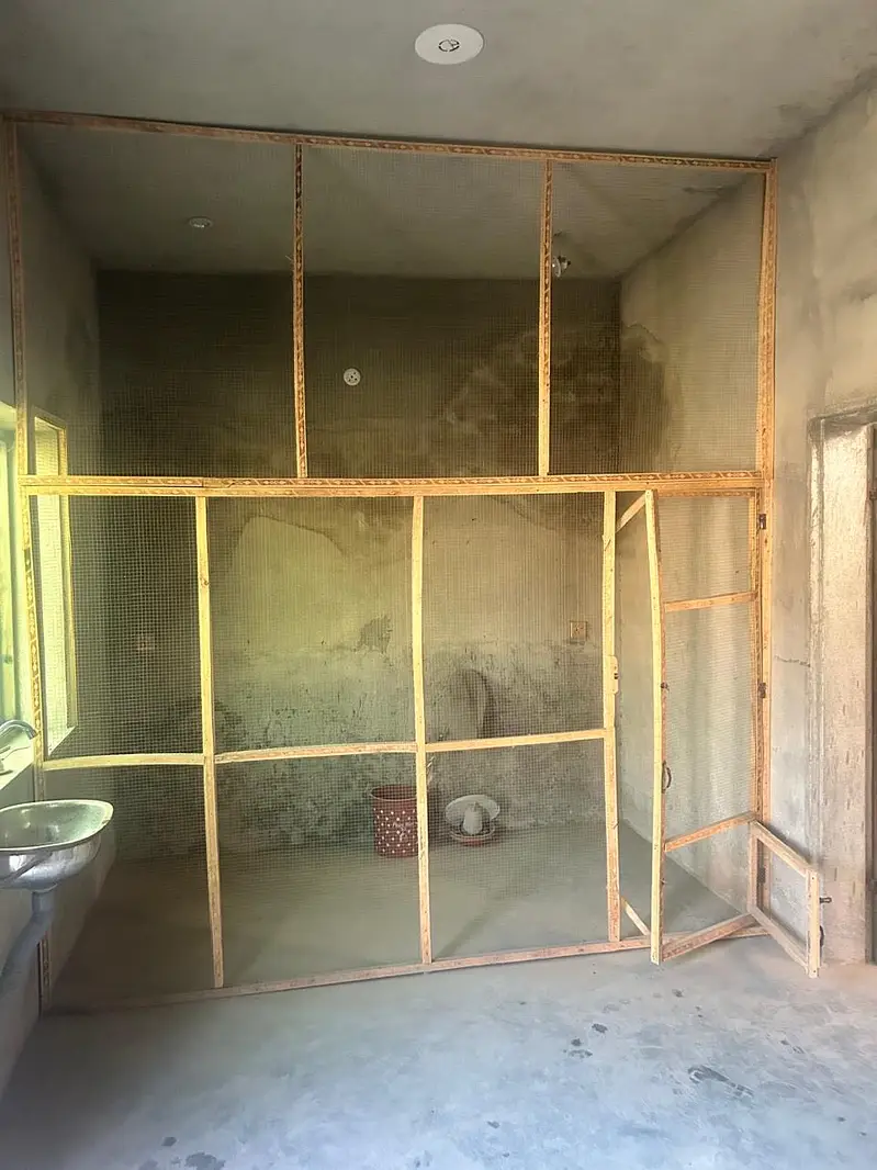 2 soft wood cages front — photo 2