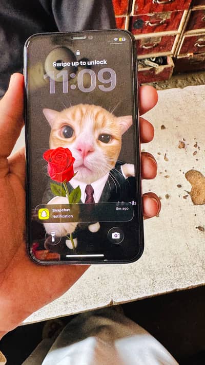 Apple iPhone 11 Pro