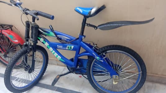 Bicycle for sale
