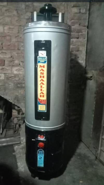 geyser for sale