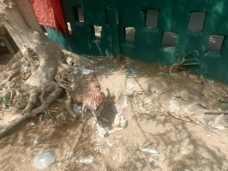 teen madiyan ya wali bacchon ke sath ek Madi — photo 6