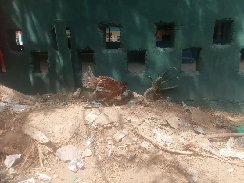 teen madiyan ya wali bacchon ke sath ek Madi — photo 8