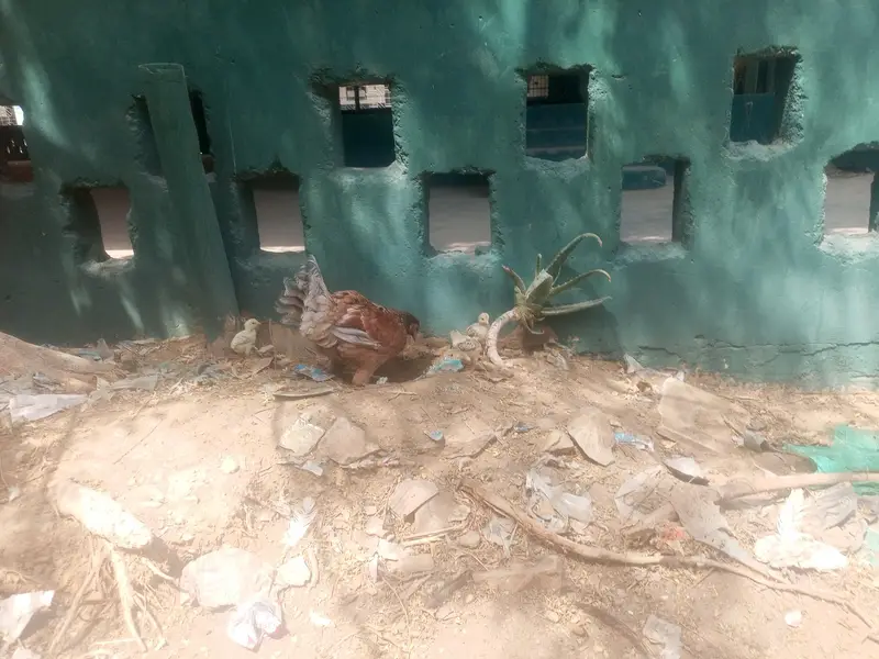 teen madiyan ya wali bacchon ke sath ek Madi — photo 9