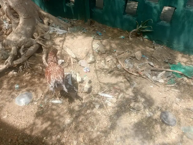 teen madiyan ya wali bacchon ke sath ek Madi — photo 10