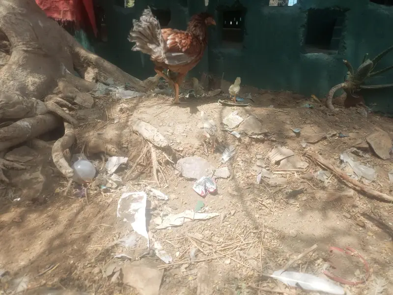 teen madiyan ya wali bacchon ke sath ek Madi — photo 11