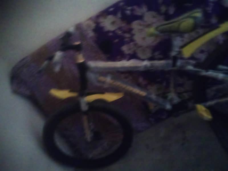 cycle 0
