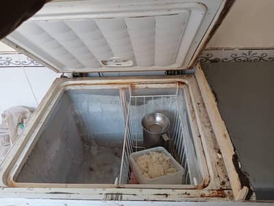 freezer