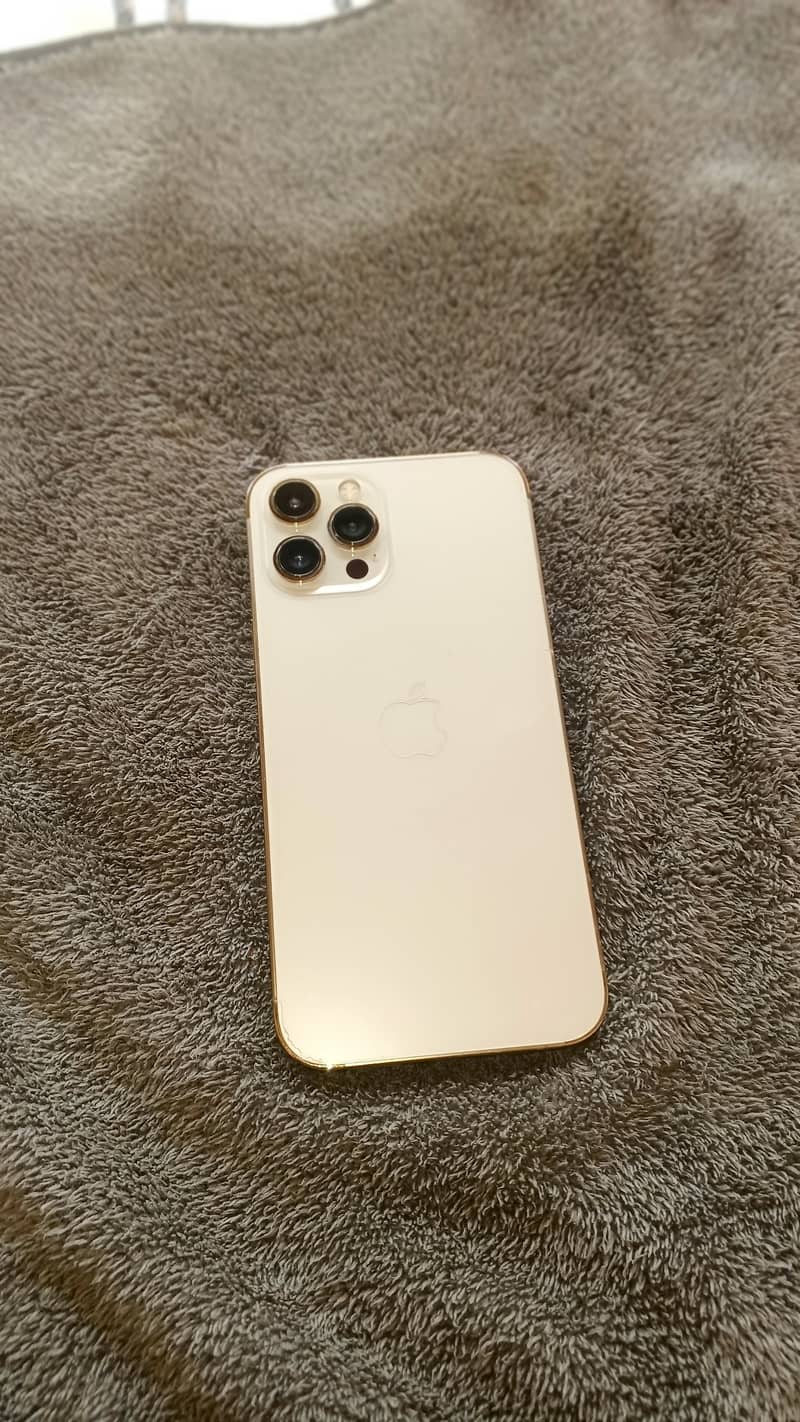 Apple iPhone 12 Pro Max 1