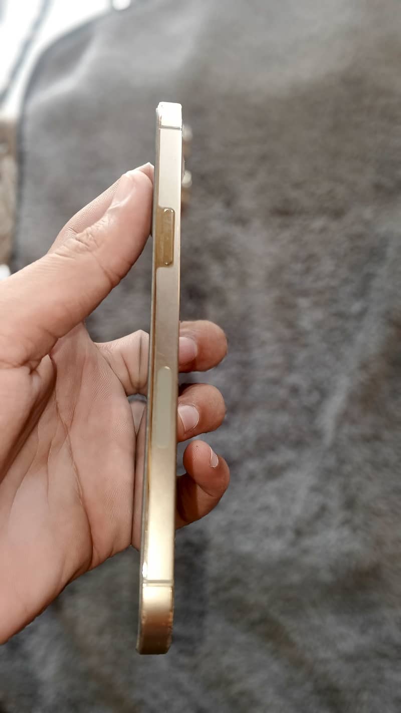 Apple iPhone 12 Pro Max 4