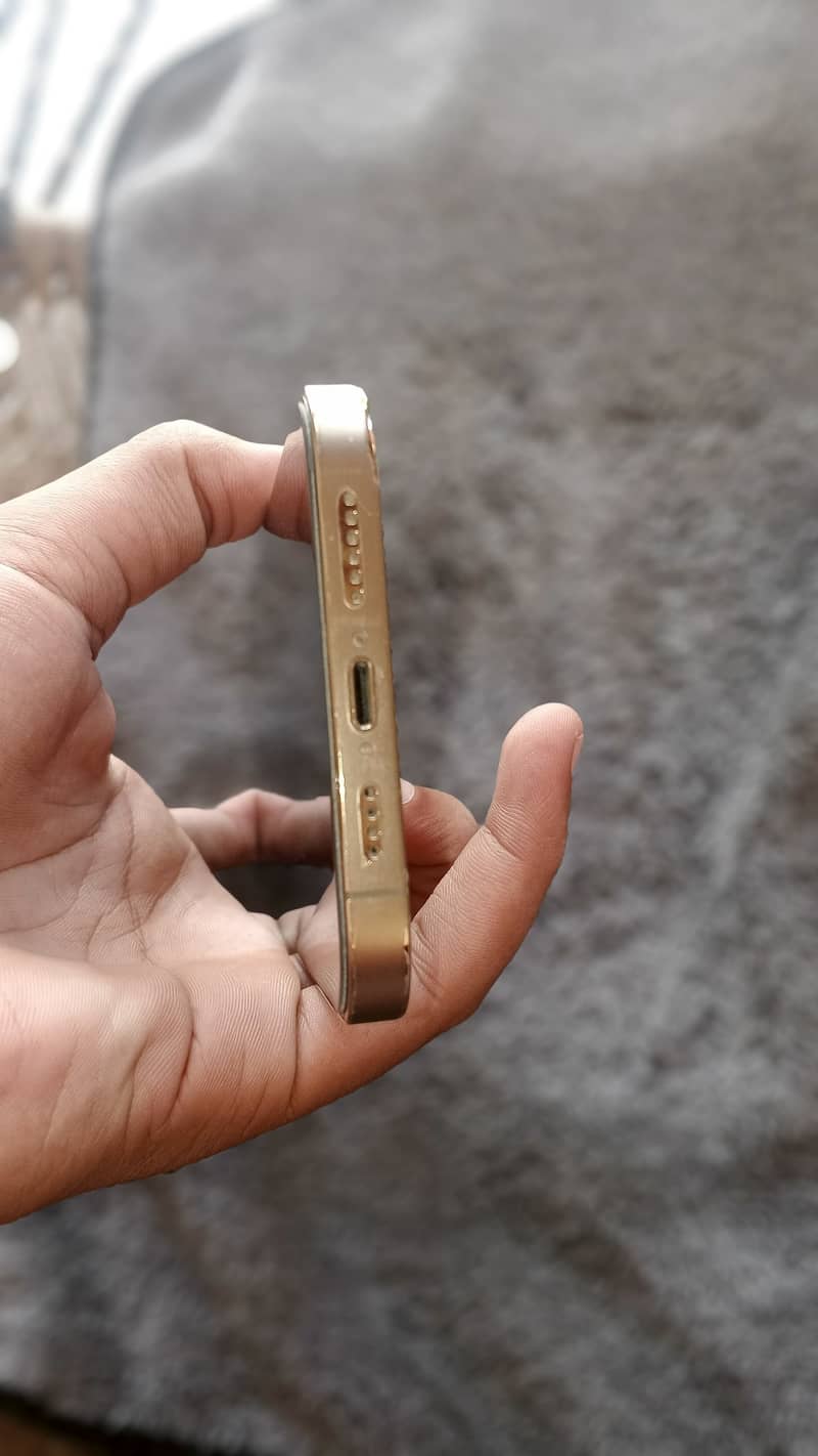 Apple iPhone 12 Pro Max 6