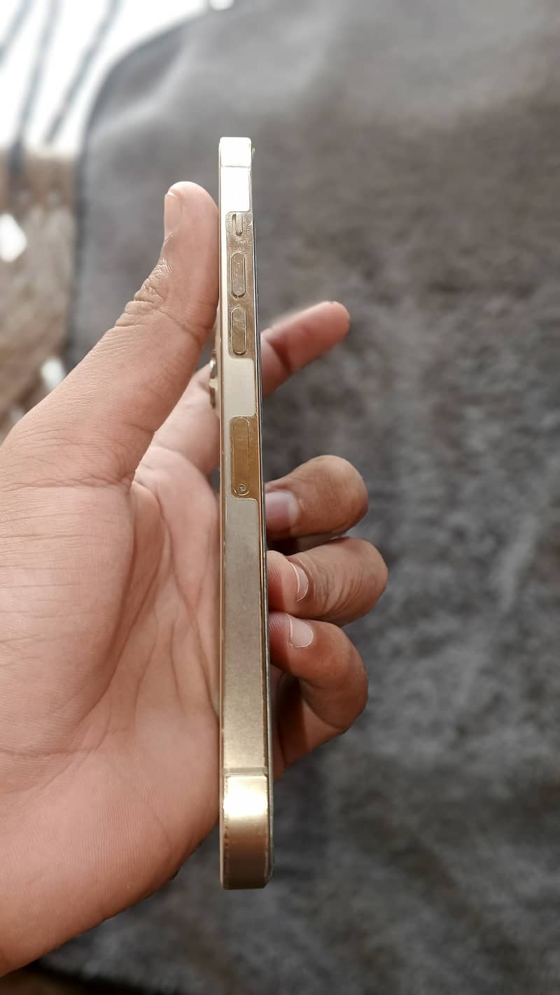 Apple iPhone 12 Pro Max 7