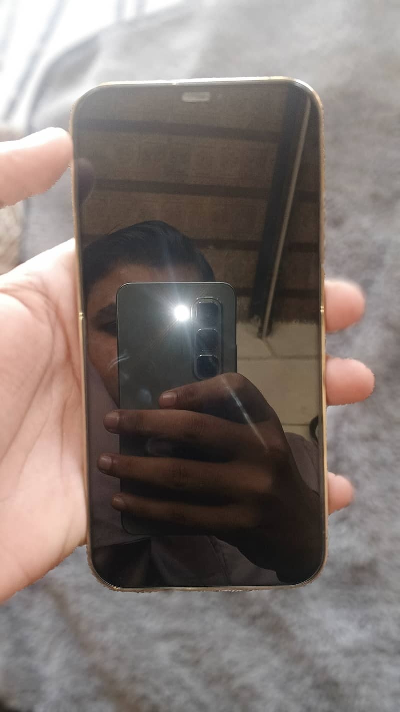 Apple iPhone 12 Pro Max 9