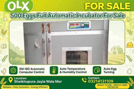 500 Eggs Automatic Incubator XM-18D