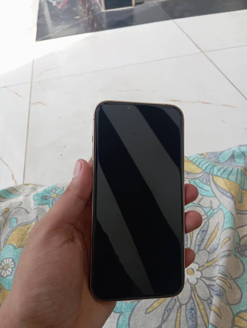 Apple iPhone 13 Pro Max 1