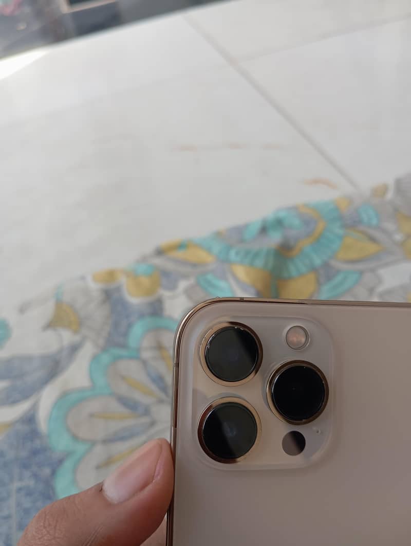 Apple iPhone 13 Pro Max 2