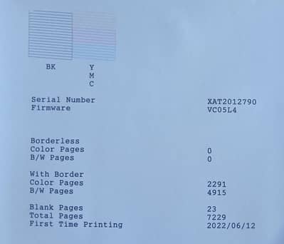 Epson l3110